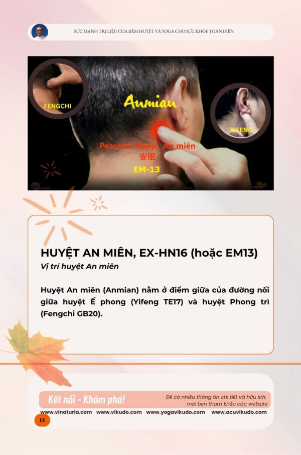 Yoga bấm huyệt dưỡng thận bổ gan và làm đẹp da mặt _ Bản tiếng Việt (PDF) - Ảnh 2