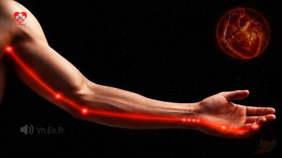 Heart Meridian – The Path of Spirit, Blood, and Will